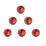 SS Yorker Cricket Ball 6 Ball Set