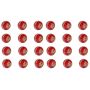 SS Yorker Cricket Ball 24 Ball Set