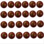 SS Swinger Cricket Ball 24 Ball Set