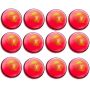 SS Incredi Soft Cricket Ball Pink 12 Ball Set