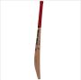 SS QDK LE Player English Willow Cricket Bat