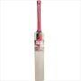 SS VA 900 Retro Elite English Willow Cricket Bat