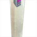 SS Ton Gladiator English Willow Cricket bat (Size-6 Short Handle)