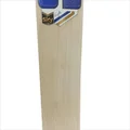 SS Sky PLAYERS (Surya Kumar Yadav ) English Willow Cricket Bat