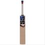 SS I Bat Kashmir Willow Cricket Bat