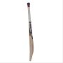 SS I Bat Kashmir Willow Cricket Bat
