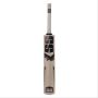 SS Power Kashmir Willow Cricket Bat