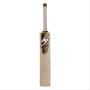 SS Ton Single S Destroyer English Willow Cricket Bat