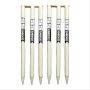 SS Cricket Stumps 6 Pcs Set with 4 Bails