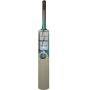 SS Dynasty Ton English Willow Cricket Bat Standard Size