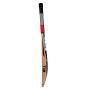 SS R 9 English Willow Cricket Bat Standard Size