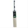 SS T 20 Legend English Willow Cricket Bat
