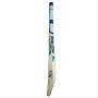 SS T 20 Legend English Willow Cricket Bat