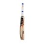 SS T20 Power English Willow Cricket Bat