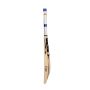 SS T20 Power English Willow Cricket Bat
