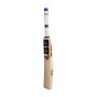 SS T20 Power English Willow Cricket Bat