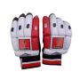 SS Ton Max Power Kashmir Willow Cricket Bat and THRAX NEO 11 Cricket Batting Gloves