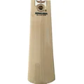 SS GG Smacker Blaster English Willow Cricket Bat