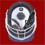 SS Prince Junior Cricket Helmet