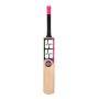 SS Saurav Ganguly English Willow Cricket Bat Standard Size