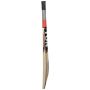 SS Ton Tennis Kashmir Willow Cricket Bat