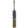 SS Ton Revolution Kashmir Willow Cricket Bat
