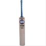 SS Ton Retro Striker Kashmir Willow Cricket Bat