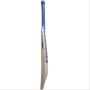 SS Ton Retro Striker Kashmir Willow Cricket Bat
