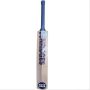 SS Ton Retro Striker Kashmir Willow Cricket Bat