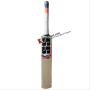 SS T 20 Champion Kashmir Willow Cricket Bat