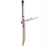 SS T 20 Champion Kashmir Willow Cricket Bat