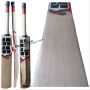 SS T 20 Power Kashmir Willow Cricket Bat