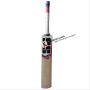 SS T 20 Power Kashmir Willow Cricket Bat