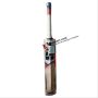 SS T 20 Power Kashmir Willow Cricket Bat