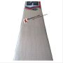 SS T 20 Power Kashmir Willow Cricket Bat