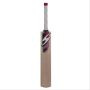 SS Ton Single S Super Drive Kashmir Willow Cricket Bat