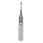 SS T20 Players Kashmir Willow Cricket Bat