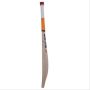 SS T20 Premium Kashmir Willow Cricket Bat