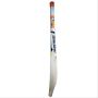 SS Camo 4.0 Kashmir Willow Cricket Bat