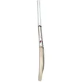 SS Maximus English Willow Cricket Bat (Standard Size Short Handle)