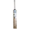 SS Pro 1.0 English Willow Cricket Bat