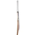 SS Pro 1.0 English Willow Cricket Bat