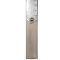 SS Pro 1.0 English Willow Cricket Bat