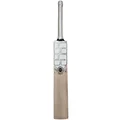 SS Pro 1.0 English Willow Cricket Bat
