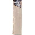 SS Sky 360 English Willow Cricket Bat (Standard Size Short Handle)