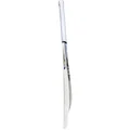 SS Tilak Varma Kashmir Willow Cricket Bat (Standard Size Short Handle)