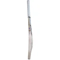 SS Tilak Verma English Willow Cricket Bat (Standard Size Short Handle)