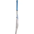 SS Ton Blaster Kashmir Willow Cricket Bat (Standard Size Short Handle)
