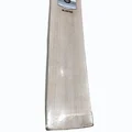 SS Ton Blaster Kashmir Willow Cricket Bat (Standard Size Short Handle)