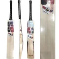 SS Ton Gladiator English Willow Cricket Bat (Standard Size Short Handle)